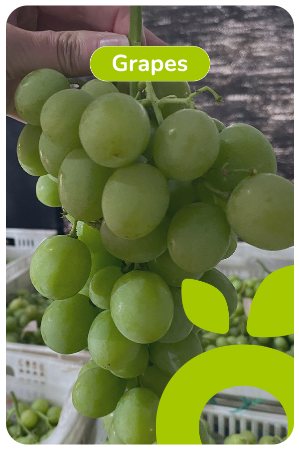 ingles grapes